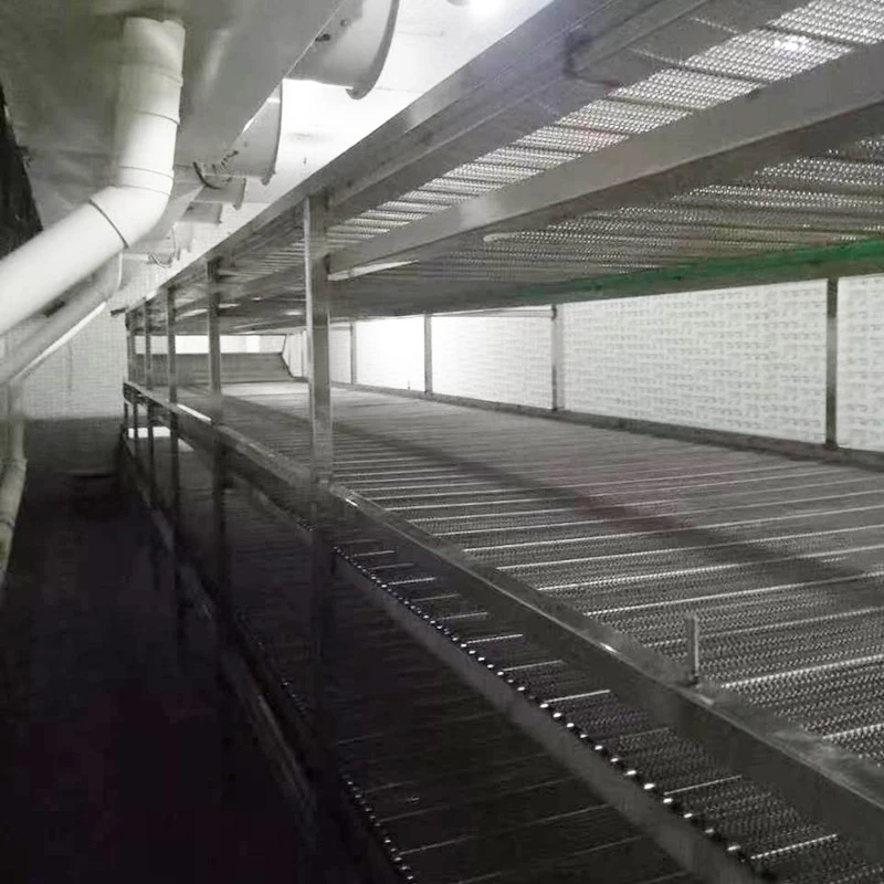 Vegetable & Fruit Fluid Bed Freezer suppliers