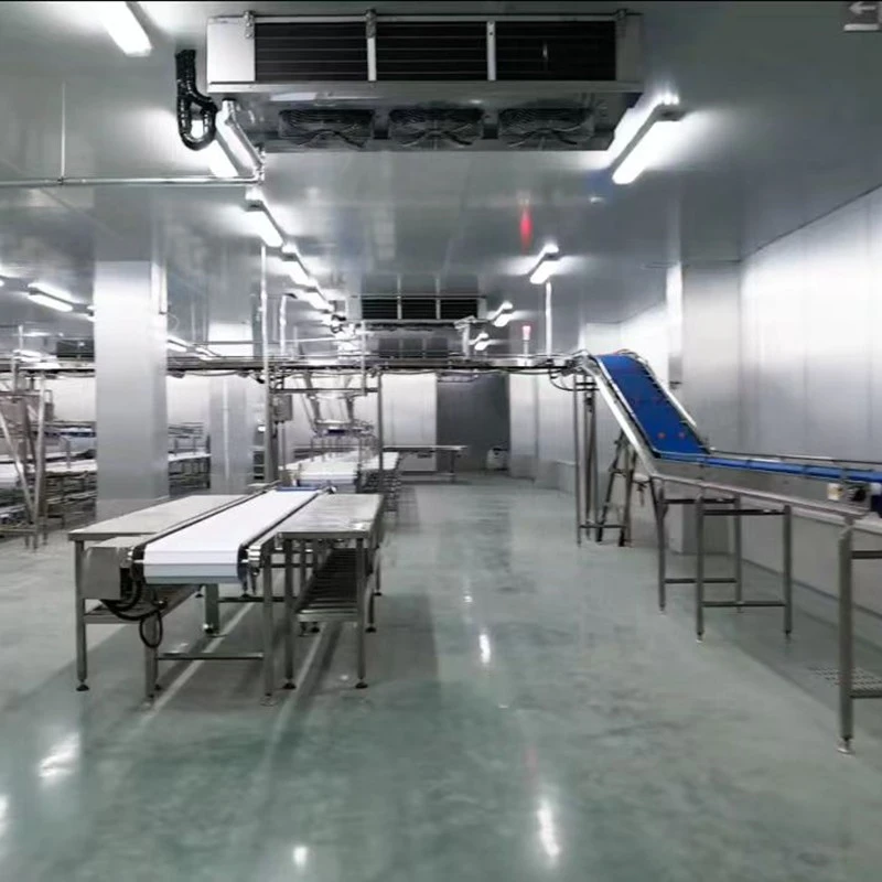 Vegetable & Fruit Fluid Bed Freezer best